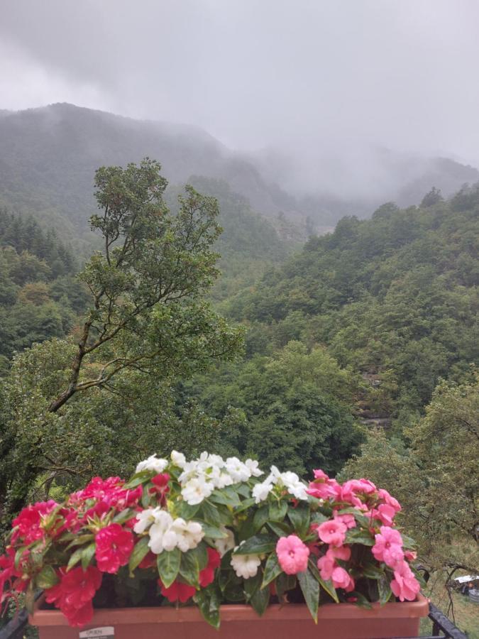 B&B Donnini Firenzuola Buitenkant foto