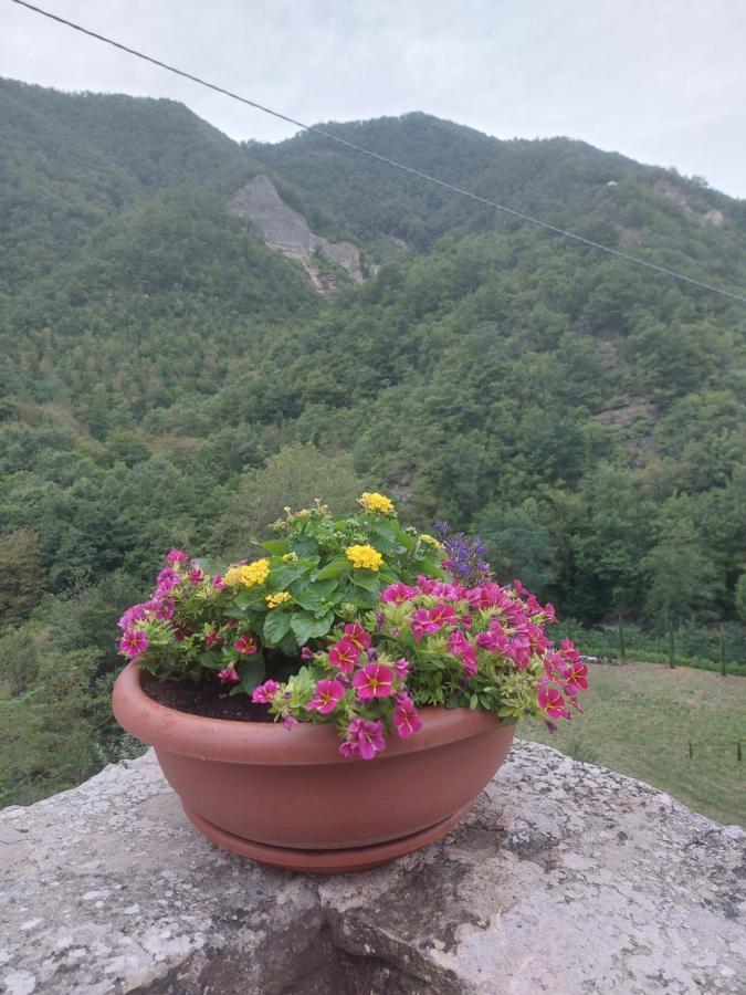 B&B Donnini Firenzuola Buitenkant foto