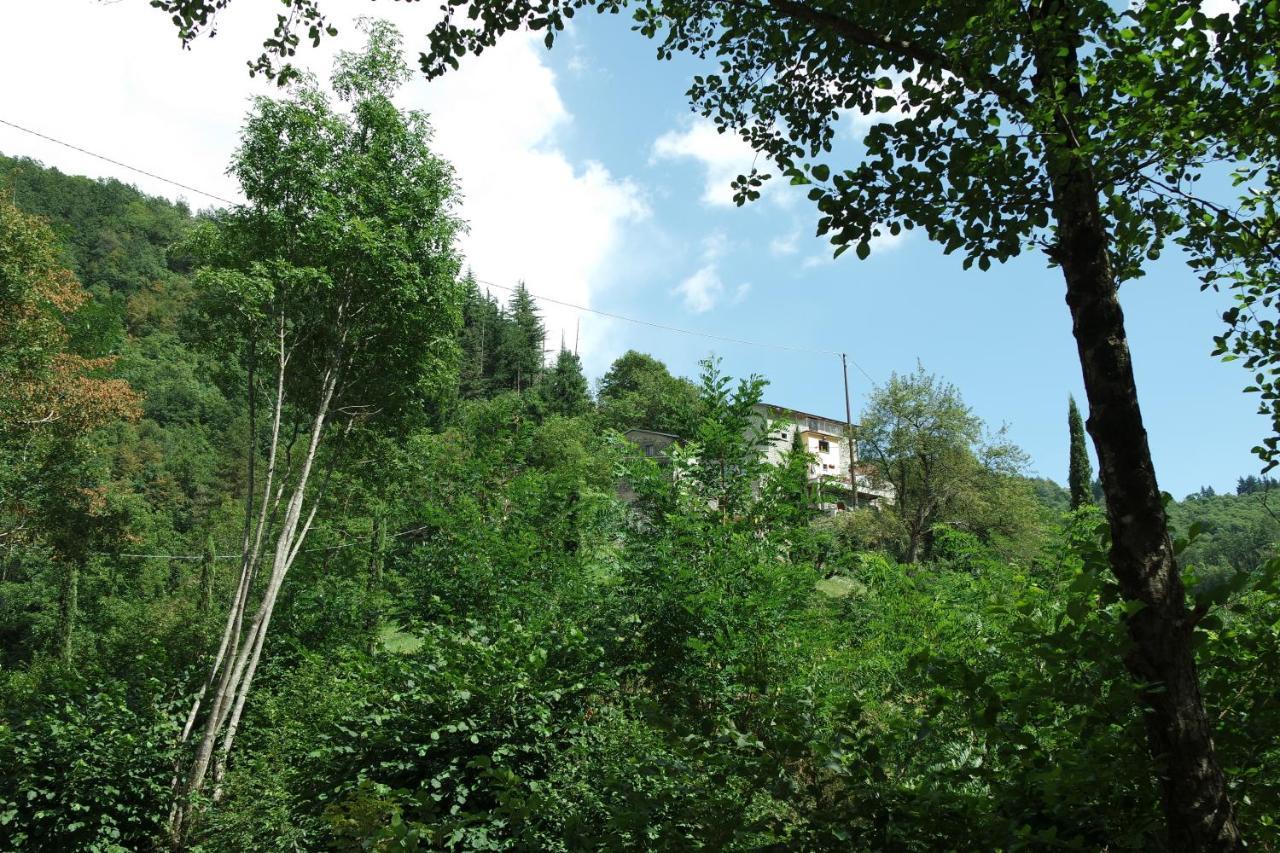 B&B Donnini Firenzuola Buitenkant foto